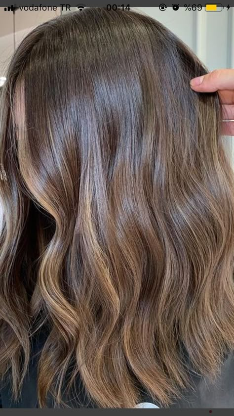 Ideas For Brunettes, Ash Golden Brown Hair, Natural Baby Lights Hair Brunette, Bruslight Hair, Brushlight Hair Brown, Summer Brown Hair Color, Balyage Long Hair Brunettes, Teasy Lights Brunette, Hair Balayage Brunette