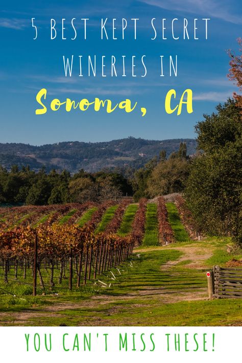 Best Sonoma Wineries To Visit, Napa Trip, Napa Valley Trip, Sonoma Wineries, Napa Wineries, California Winery, Napa Wine, Sonoma Coast, Sonoma California