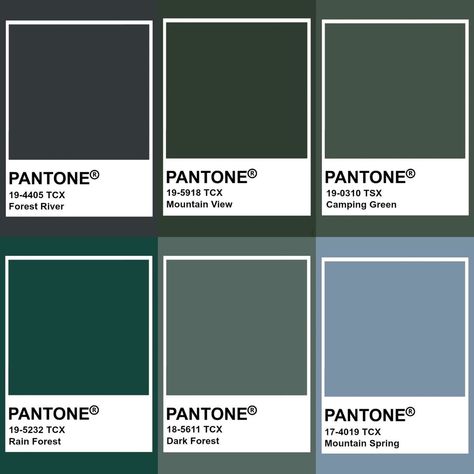 Cozy Reading Room, Dark Academia Green, Dark Green Rooms, Pantone Colours, Pantone Color Chart, Fashion Evolution, Ballet Aesthetic, Pantone Colour Palettes, Colors Inspiration