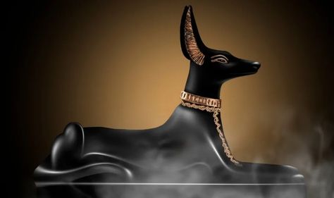 History of Dogs in Ancient Egypt: Facts, Culture & More | Pet Keen Ancient Egypt Facts, Egypt Facts, Ancient Egyptian Tombs, Ibizan Hound, Pharaoh Hound, Ancient Paintings, Street Dogs, Egyptian Culture, Herding Dogs