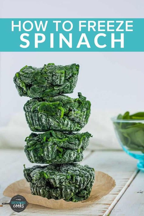 Freezing Spinach, Freeze Spinach, Freezing Food Guide, Money Learning, Preserving Vegetables, Food Growing, Freezing Vegetables, Freezing Food, Prevent Food Waste