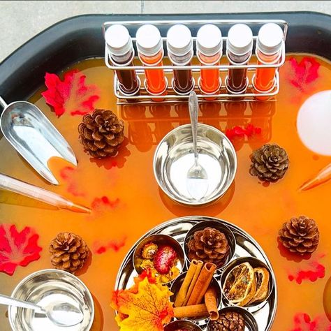 Natasha on Instagram: "Autumn Perfume 🍁 - Water play  - Exploring the sense of smell - Creative play  - Imaginative and role play - Developing motor skills  - Exploring colour mixing   🍁 Metal potion set, potion tube rack and large pipettes all from @hope_earlyyears   *Some items gifted   #tufftray #tufftrayideas #tufftrayactivities #tufftrayinspiration #tuffspot #playtray #playtrayideas #sensoryplay #messyplay #waterplay #autumnplay #playideas #playinspiration #playactivities #eyfs #earlyyears #earlyyearsideas #earlyyearsactivities #eyfsideas #eytagteam #letsshareourplay #inspiretheirearlyyears #learningwiththesmalls #outdoorplay #seasonalplay" Tuff Trays For Toddlers, Water Play Eyfs, Water Tray Ideas Eyfs, Kids Messy Play, Autumn Perfume, Autumn Eyfs Activities, Autumn Eyfs, Treasure Basket, Lesson Plans For Toddlers