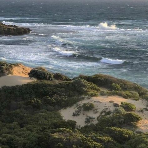 Waves Crashing, Sand Dunes, The Top, Trees