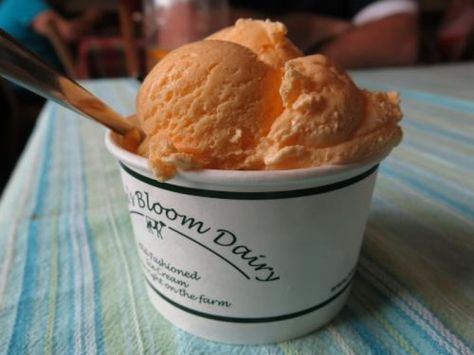 6 Places in Bel Air to Take Out-of-Town Visitors Bel Air Maryland, Ice Cream Month, National Ice Cream Month, Ice Cream Shops, The Best Ice Cream, Italian Pastry, Yummy Ice Cream, Sorbet Recipes, Italian Ice