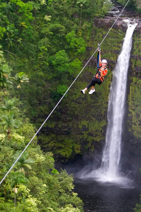 Akaka Falls, Kona Hawaii, Eastern Europe Travel, Zip Line, Big Island Hawaii, Hawaii Island, Hawaii Vacation, Hallmark Channel, Island Vacation