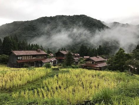 The Man Trying to Save His Village From the Forest https://www.atlasobscura.com/articles/japanese-village-ozuchi-abandoned-rice Growing Rice, Japan Village, Japanese Culture Art, Werewolf Stories, Calming Images, Forest Village, Japanese Forest, Japanese Village, Abandoned Village