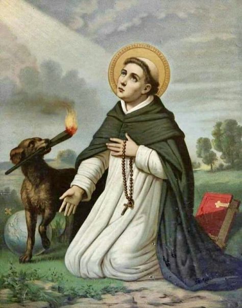 Dominican Order, Dominican Friar, St Dominic, Saint Dominic, Saint Thomas Aquinas, Lives Of The Saints, Catholic Images, Holy Rosary, Catholic Art