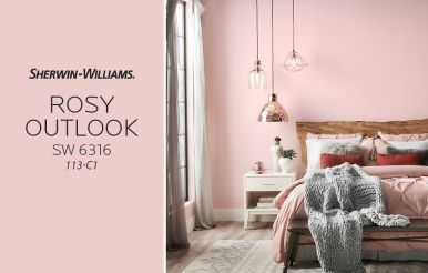 Sherwin Williams Rosy Outlook, Bedroom Colors Sherwin Williams, Red Paint Colors, Pink Paint Colors, Color Of The Month, Pink Girl Room, Sherwin Williams Colors, Best Paint, Sherwin Williams Paint Colors