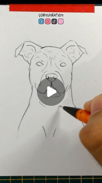 How To Draw Staffies, Doberman Line Drawing, Pitbull Drawing Cartoon, Drawing Dogs Easy, How To Draw A Dog Step By Step, Pitbull Art Drawing, Dog Simple Drawing, How To Draw A Dog, Pitbull Sketch