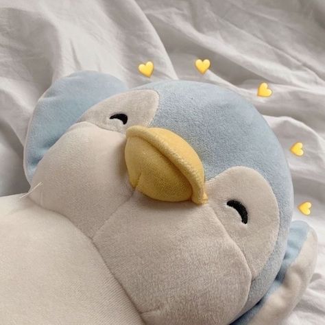 Cute Stuffed Animals, Say I Love You, Miss You, Stuffed Animal, Stuffed Animals, Penguins, I Love You, Love You, Wallpapers