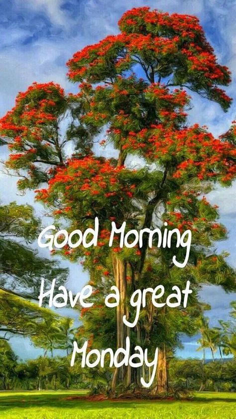 Monday Good Morning Wishes, Monday Good Morning, I Like You Quotes, Happy Monday Morning, Monday Images, Good Morning Dear Friend, 16th Birthday Card, Good Morning Happy Monday, Have A Great Monday