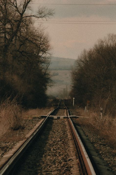 Brown Bare Trees Beside Train Rail · Free Stock Photo Bare Trees, Rail Train, Railway Track, Night Train, Bare Tree, American Gothic, Beauty Products Photography, Train Tracks, Not Afraid