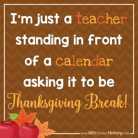 Comment below what day you’re counting down to! 😂  For more quotes like this, follow along @wifeteachermommy 💕  #teachermemes #teacherquotes #teachermeme #teacherinspiration #classroompinspirations #teacherhumor #educationquotes #teachersfollowteachers #teachersfollowingteachers #teachersofinstagram #teachersofinsta #teachersofig #igteachers  #teacherlife🍎#iteach #iteachtoo #teachermom #teachermommy #instateacher #teachersofthegram #teachergram #teachershare #weareteachers #teacherswag #teach School Teacher Quotes, Preschool Teacher Quotes, Funny Thanksgiving Memes, Substitute Folder, Best Teacher Quotes, Teacher Thanksgiving, Teaching Memes, Teacher Funnies, Teacher Motivation