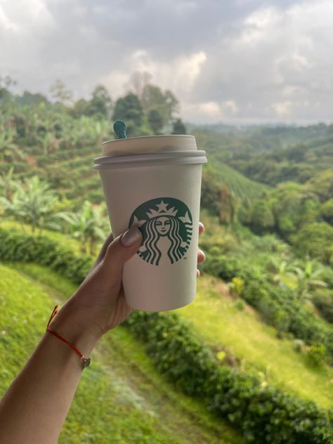 Starbucks farm in Costa Rica 2023 Aesthetic, Costa Rica, Travel Mug, Drinks, Tableware, Travel