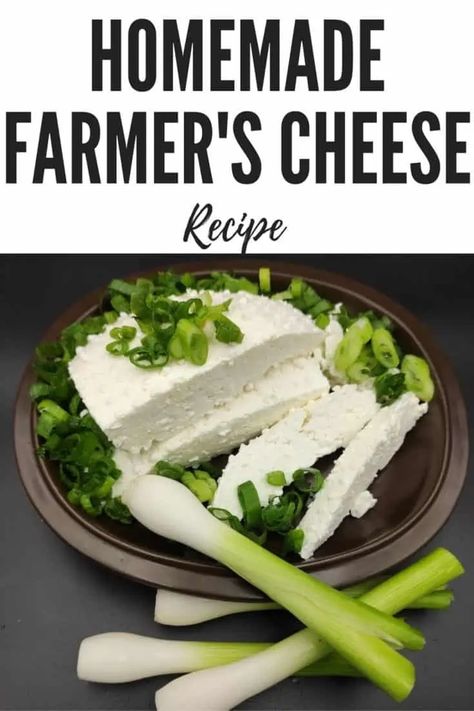 Polish Food Traditional, Polish Cottage, Farmers Cheese Recipes, Homemade Cottage Cheese, Cheese Recipes Homemade, Farmer’s Cheese, Polish Foods, Lithuanian Recipes, Farmers Cheese