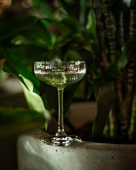 Green Cocktail Aesthetic, Cocktail Photos, Outdoor Cocktail, Cocktail Photography, Asian Street Food, White Cocktails, Green Bar, Restaurant Photography, Food Drink Photography