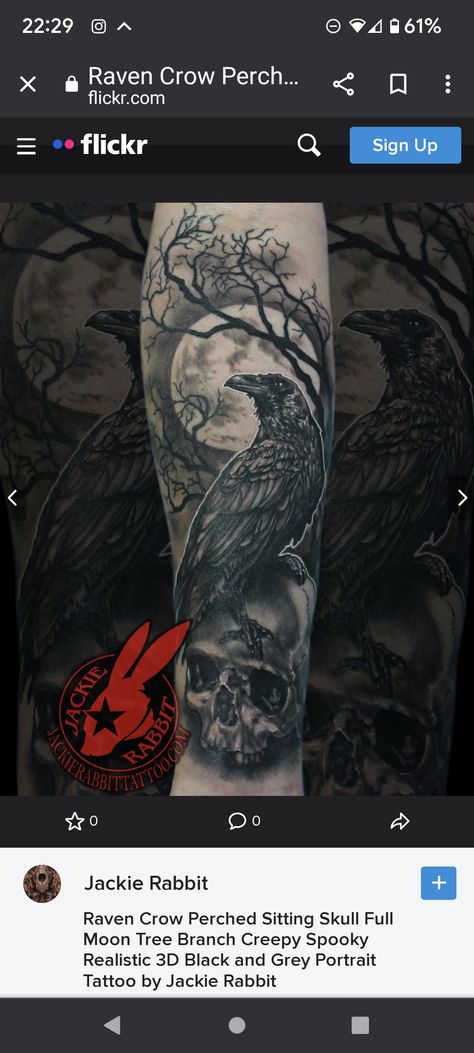 Raven And Books Tattoo, Raven Tattoos, Luna Tattoo, Mama Tattoo, Indian Feathers, Branch Tattoo, Crow Tattoo, Dream Catcher Tattoo, Fire Tattoo