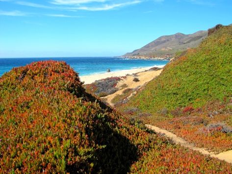 Trail to Garrapata Beach, Garrapata State Park, Big Sur, California Balmorhea State Park, Anza Borrego State Park, Pedernales Falls State Park, Indiana Dunes State Park, Humboldt Redwoods State Park, Dinosaur Valley State Park, Grayton Beach State Park, Slide Rock State Park, Wisconsin State Parks