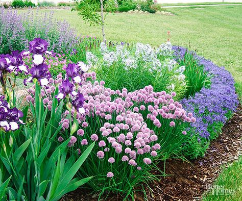 Pretty Purple Pairing: Veronica + Bearded Iris + Feather Bluestar + Catmint + Chives Hydrangea Not Blooming, Purple Garden, Magic Garden, Most Beautiful Gardens, Blue Garden, Bearded Iris, Plant Combinations, Gorgeous Gardens, Flower Bed