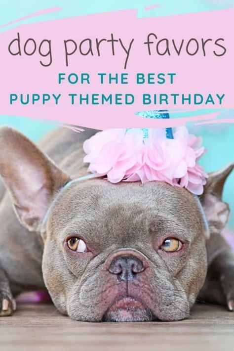 Dog Party Favors For The Best Puppy Themed Birthday - Best Online Gift Store Dog Party Favors, Dog Themed Birthday Party, Diy Dog Treats, Best Puppies, Dog Birthday Party, Fun Party Games, Interactive Dog Toys, Dog Party, Puppy Party