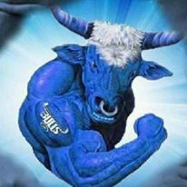 Blue Bulls Blue Bulls Rugby Image, Blue Bulls Rugby, Rugby Images, South African Rugby, Rugby Logo, Rugby 7s, The Fast And The Furious, Fast And The Furious, Rugby Sport