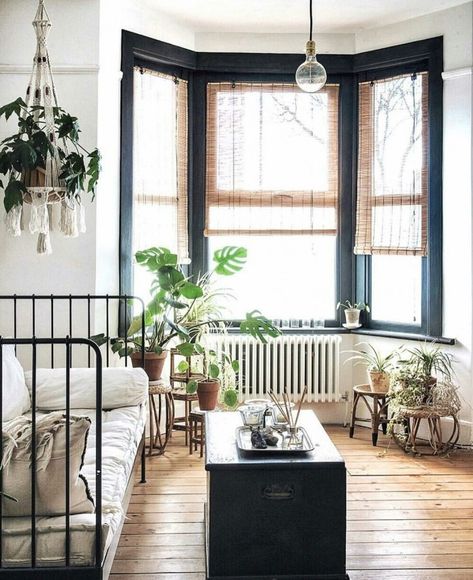 Small Orangery, Vintage Boho Bedroom, Black Window Frames, Lots Of Plants, Window Sills, Rustic Window, Bow Window, Room With Plants, Living Room Diy