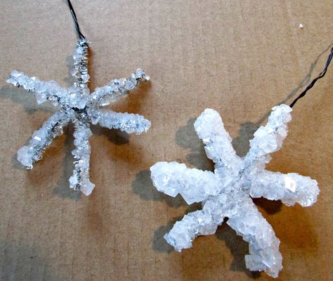 Growing Crystals is a really fun project to do at home, here we show you how we made our own Christmas snowflakes to hang on our Christmas tree - the crystals form so quickly you only have to leave them overnight! How To Grow Crystals, Borax Snowflakes, Grow Crystals, Cheap Christmas Trees, Diy Snowman Ornaments, Growing Crystals, Halloween Tablescape, Buffalo Plaid Christmas Tree, Science Club