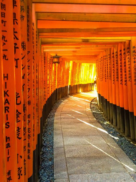 The Ultimate Walking Tour of Kyoto's Incredible Fushimi Inari Shrine's 10,000 torii gates Fushimi Inari Shrine, Inari Shrine, Japanese Shrine, Fushimi Inari Taisha, Fushimi Inari, Memoirs Of A Geisha, Torii Gate, Shinto Shrine, Iconic Images