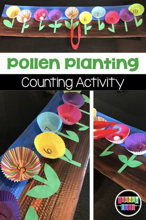 Pollen Planting Counting Activity for Preschool | Use cupcake wrappers to make a flower garden and count pom-poms to add the pollen. Preschool Plants, Spring Preschool Activities, Spring Lessons, Preschool Garden, Preschool Spring, Plant Activities, Flowers Theme, Preschool Units, Counting Activity