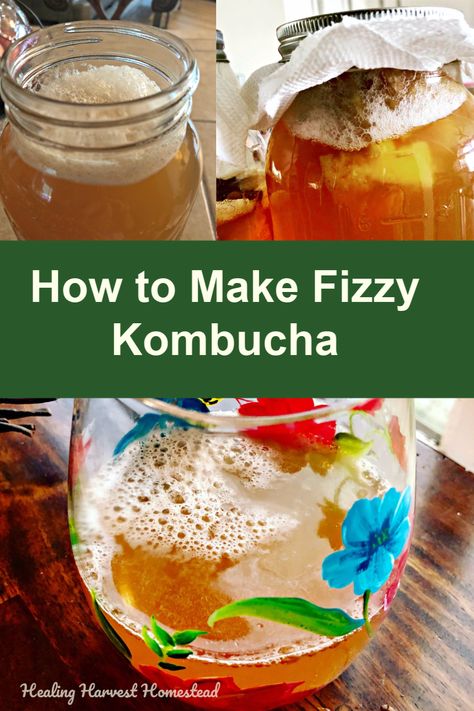 Second Ferment Kombucha, Soda Substitute, Best Kombucha, Kombucha Flavors, How To Brew Kombucha, Homemade Kombucha, Kombucha Recipe, Fermented Tea, Probiotic Drinks