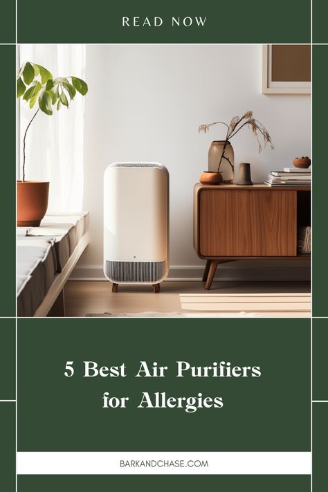 Say goodbye to those pesky allergy symptoms with the perfect air purifier! In this post, we feature 5 top-rated options that help remove allergens, dust, pet dander, and more from your living spaces. Enjoy fresh, clean air with models designed for various needs and room sizes. Whether you're battling seasonal allergies or everyday irritants, there's an air purifier for everyone. Find out which one fits your home best and take the first step towards a clearer, more refreshing breathing experience at home. Aesthetic Air Purifier, Best Air Purifiers Home, Best Air Purifier, Home Air Purifier, Interior Design Games, Seasonal Allergies, Allergy Symptoms, Air Purifiers, Pet Dander