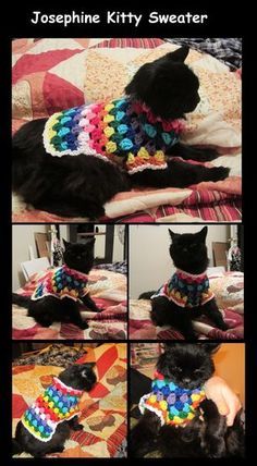 Josephine Kitty Sweater Collage Crochet Cat Sweater Pattern, Dog Crochet Sweater, Small Dog Crochet, Crochet Cat Sweater, Cat Sweater Pattern, Dog Sweater Crochet Pattern, Crochet Sweater Pattern, Purl Bee, Dog Sweater Pattern