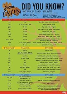 Latin Poster, Latin Language Learning, Learn Latin, Poster Classroom, Latin Language, Prefixes And Suffixes, Latin Phrases, Learn Hebrew, English Teachers