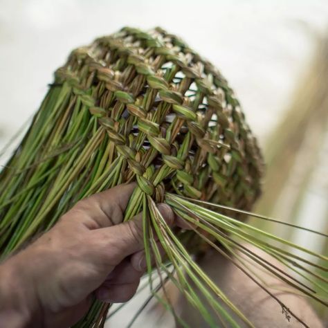 Handicrafts Ideas, Weaving Baskets, Pine Needle Crafts, Inverness Scotland, Basket Weaving Diy, Willow Weaving, Basket Making, Natural Baskets, Pine Needle Baskets