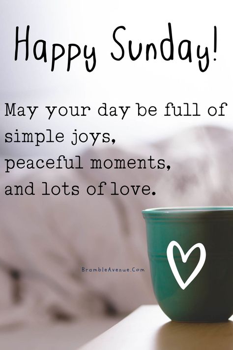 Happy Sunday Morning, Sunday Morning Quotes, Sunday Greetings, Sunday Wishes, Sunday Coffee, Happy Weekend Quotes, Fun Images, Beautiful Morning Quotes, Weekday Quotes