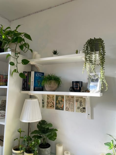 this is my room, I put my original photo for inspiration Shelving Ideas For Bedroom, Room Restock, Butterfly Room, Shelves Ideas, Study Desk Decor, Cosy Room, Pinterest Room Decor, Cozy Room Decor, Pretty Room