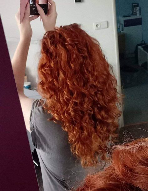 Frizzy Ginger Hair, Long Curly Auburn Hair, Wavy Red Hair Natural, Curled Ginger Hair, Curly Ginger Hair Aesthetic, Long Curly Ginger Hair, Dark Ginger Curly Hair, Copper Hair Curly, Ginger Wavy Hair