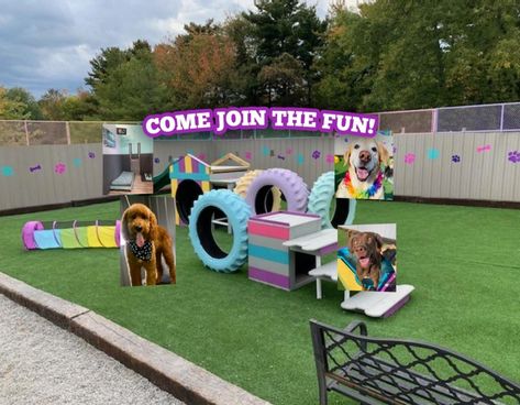 Dog Daycare Event Ideas, Dog Park Ideas Play Areas, Best Dog Parks, Pet Daycare Ideas, Dog Park Backyard, Dog Park Ideas Backyards, Home Dog Park, Small Dog Park, Private Dog Park Ideas