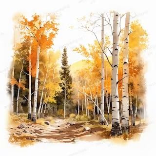 Enriquedigital - Etsy Thailand Fall Forest Watercolor, Autumn Watercolor Landscapes, Trees Clipart, Fall Stickers, Birch Forest, Tree Clipart, Digital Photos, Fall Watercolor, Birch Trees