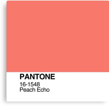 Pantone Peach Echo Canvas Print Pantone Book, Peach Shades, Year Board, Peach Echo, Yellow Board, Pantone Colour Palettes, Apricot Color, Pantone Colors, Style Reference