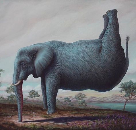 Surealism Art, Wow Art, Pop Surrealism, Very Funny Pictures, An Elephant, Salvador Dali, Weird Art, Really Funny Pictures, Funky Art