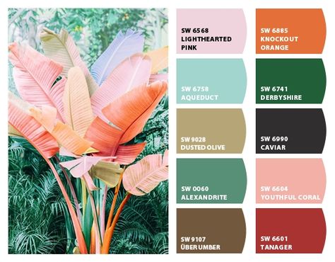 Tropical House Paint Colors Exterior, Alexandrite Sherwin Williams, Sherwin Williams Paint Combinations, Sherwin Williams Tropical Paint Colors, Muted Tropical Color Palette, Tropical Paint Colors, Palm Springs Color Palette, Tropical Home Exterior, Catamaran Interior