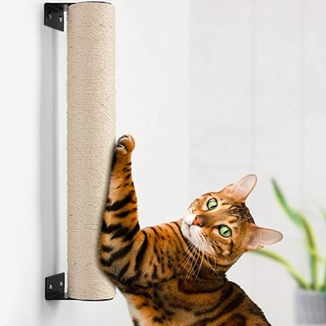 Amazon.com : BEBOBLY Wall Mounted Cat Scratching Post for Indoor Cats | Kitten Wall Shelves Climbing Furniture| Sisal Rope Cat Claw Scratcher Tree | Solid Wooden Walkway for Cage Mounted Climbing Relaxing : Pet Supplies Cat Climbing Shelves, Cat Wall Furniture, Wooden Walkways, Pet Paradise, Cat Activity, Cat Cages, Cat Scratchers, Cat Hammock, Cat Post