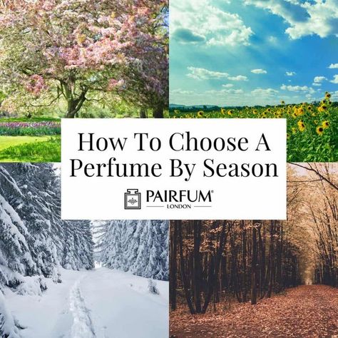 A luxurious fragrance has the unique ability to transport our senses, stirring memories and emotions that resonate with the essence of each season. Allow us to guide you on how to choose perfume by season. This article serves as your expert guide on how to choose a perfume by season, curating an enchanting fragrance wardrobe that celebrates the distinctive qualities of each time of year with a seasonal scent whilst maintaining harmony with your individual preferences and lifestyle. With the u... How To Choose Perfume, How To Layer Scents, Wardrobe Fragrance, Fragrance Wardrobe, Fragrance Layering, Perfume Quotes, Organic Body Lotion, Couture Perfume, Organic Body Wash