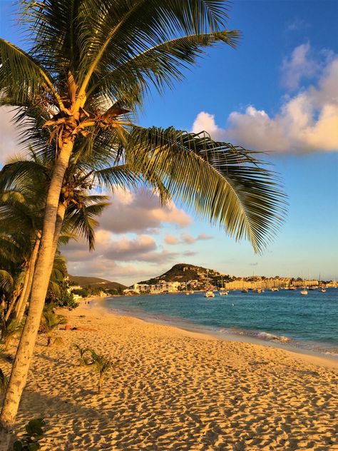 St Maarten Aesthetic, Saint Martin Caribbean, Saint Marteen, 2024 Blessings, St Marteen Island, St Maarten Beaches, St Martin Caribbean, St Marten, Saint Maarten