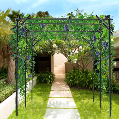 PRICES MAY VARY. 【GRAPE VINE SUPPORT】This grape trellis has durable triangular support design, so it can maintain the stability of the layer frame with beautiful appearance. It's ideal for framing garden entrances, pathways and views. 【LARGE GARDEN TRELLIS】This garden arch trellis with an arched structure measures 79×79×79Inch, designed specifically for growing climbing plants and vegetables. It can provide ample growing space so that you can maximize your harvest and yield. At the same time, it can also become an attractive archway for climbing plants to create a beautiful entry into your garden. 【PREMIUM MATERIAL】 The garden trellis is made of high quality materials, durable and sturdy metal with plastic coating, won't rust and degrade in rain and sunlight, providing strong support for y Vine Archway, Grape Vine Trellis Ideas, Trellis Archway, Garden Entrances, Metal Garden Arch, Arbor Trellis, Grape Vine Trellis, Arch Arbor, Metal Arbor