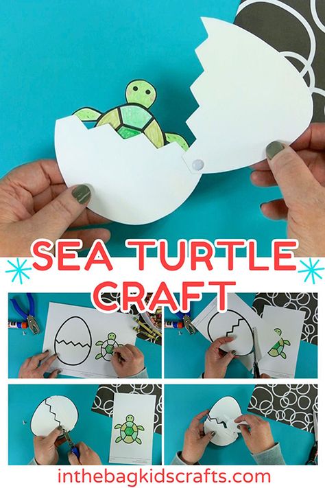 baby sea turtle craft for kids Sea Turtle Craft For Toddlers, Sea Turtle Diorama For Kids, Turtle Art And Craft, Turtle Lesson Plans Preschool, Turtle Art Preschool, Sea Turtle Craft Preschool, Turtle Crafts For Toddlers, Sea Turtle Crafts For Kids, Ocean Animal Crafts Preschool