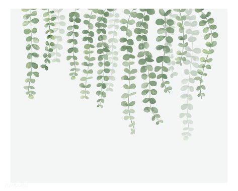 Illustration of hanging plant isolated on white background | free image by rawpixel.com / busbus Hanging Leaves, Plant Doodle, Design Art Drawing, Trendy Plants, Coffee Tree, Free Vector Illustration, Drawing Wallpaper, Watercolor Plants, Plant Wallpaper