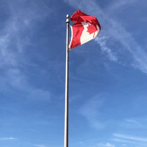 Flag Gif, Waving Gif, Canadian Flag, Canada Flag, Country Flags, Gif, Flag, Quick Saves