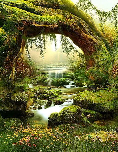 Nature Wonder on Twitter: "#naturelovers https://t.co/ImjLoDlm2q" / Twitter Tapestry Living Room, Landscape Tapestry, Tapestry Nature, Forest Tapestry, Forest Background, Scenic Photos, Fantasy Forest, Beautiful Forest, Airbrush Art